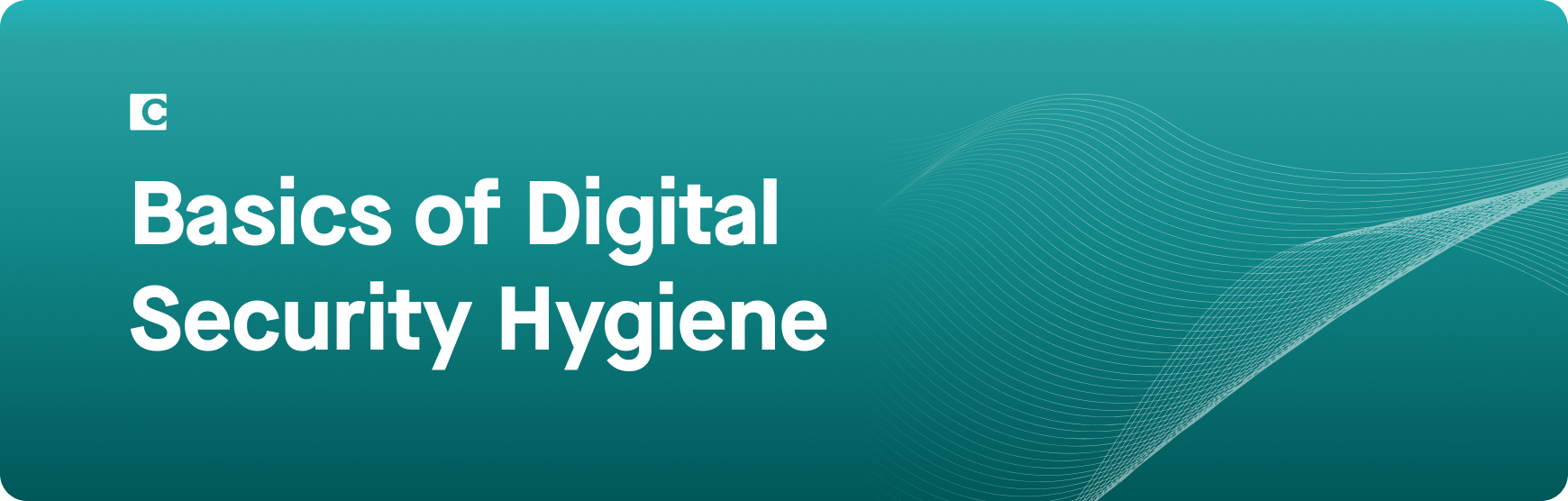 Basics_of_Digital_Security_Hygiene.png